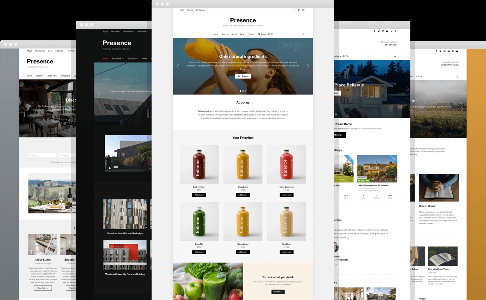 theme wordpress